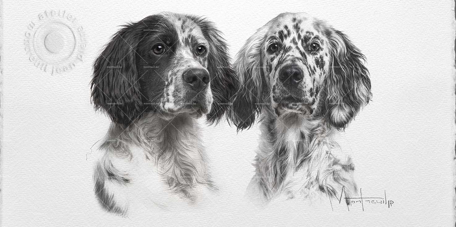 Portrait au crayon de deux chiens au pelage tacheté blanc et noir, aux yeux expressifs et bienveillants.