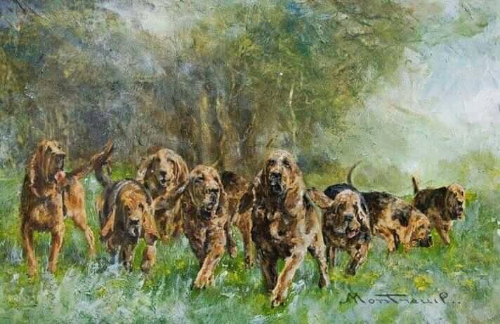 Un groupe de chiens de différentes races court ensemble dans un pré verdoyant sous des arbres majestueux.