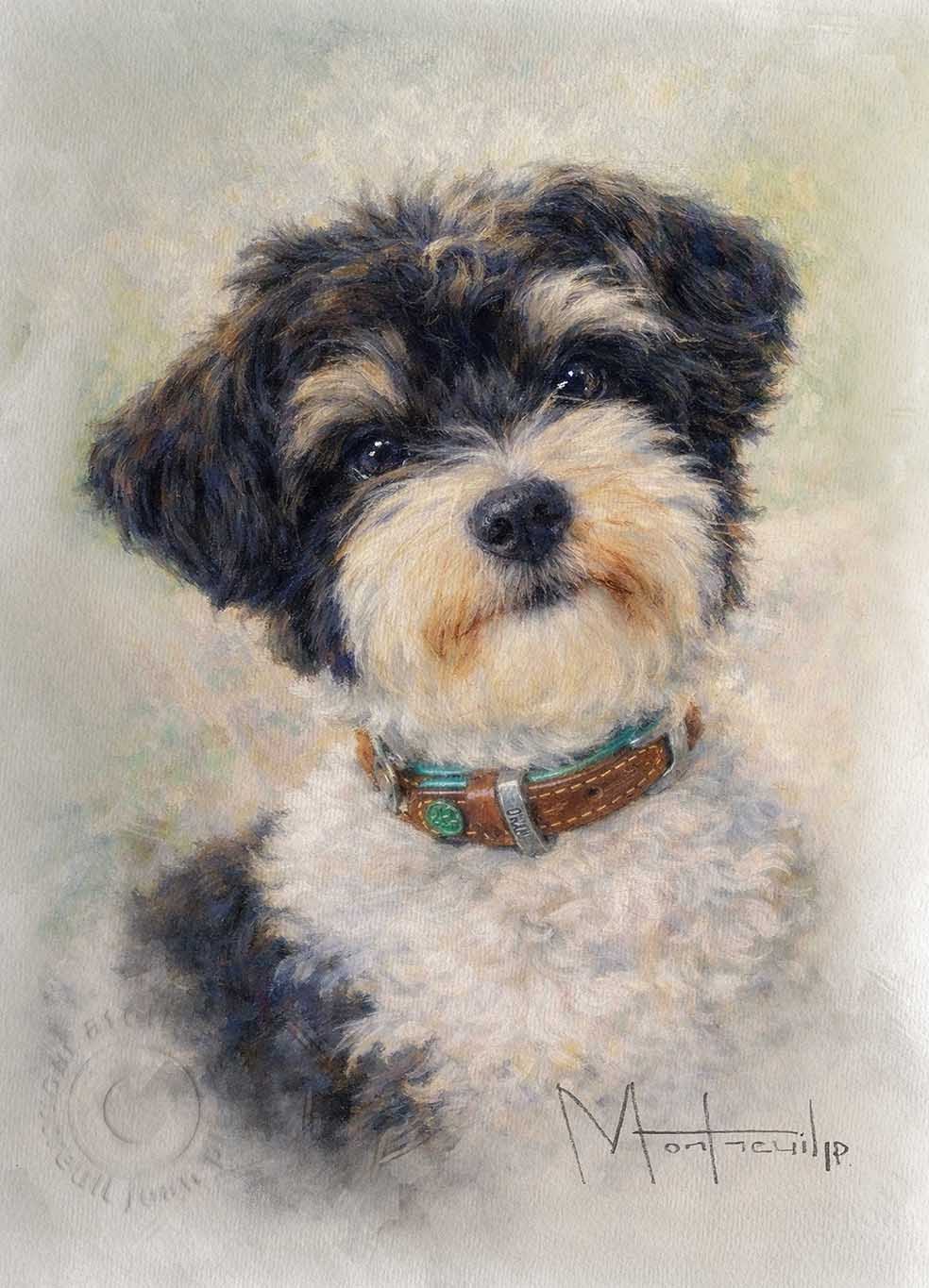 Peinture d'un chien Shih Tzu au pelage noir et blanc, portant un collier brun, regardant vers l'avant avec une expression douce et bienveillante.