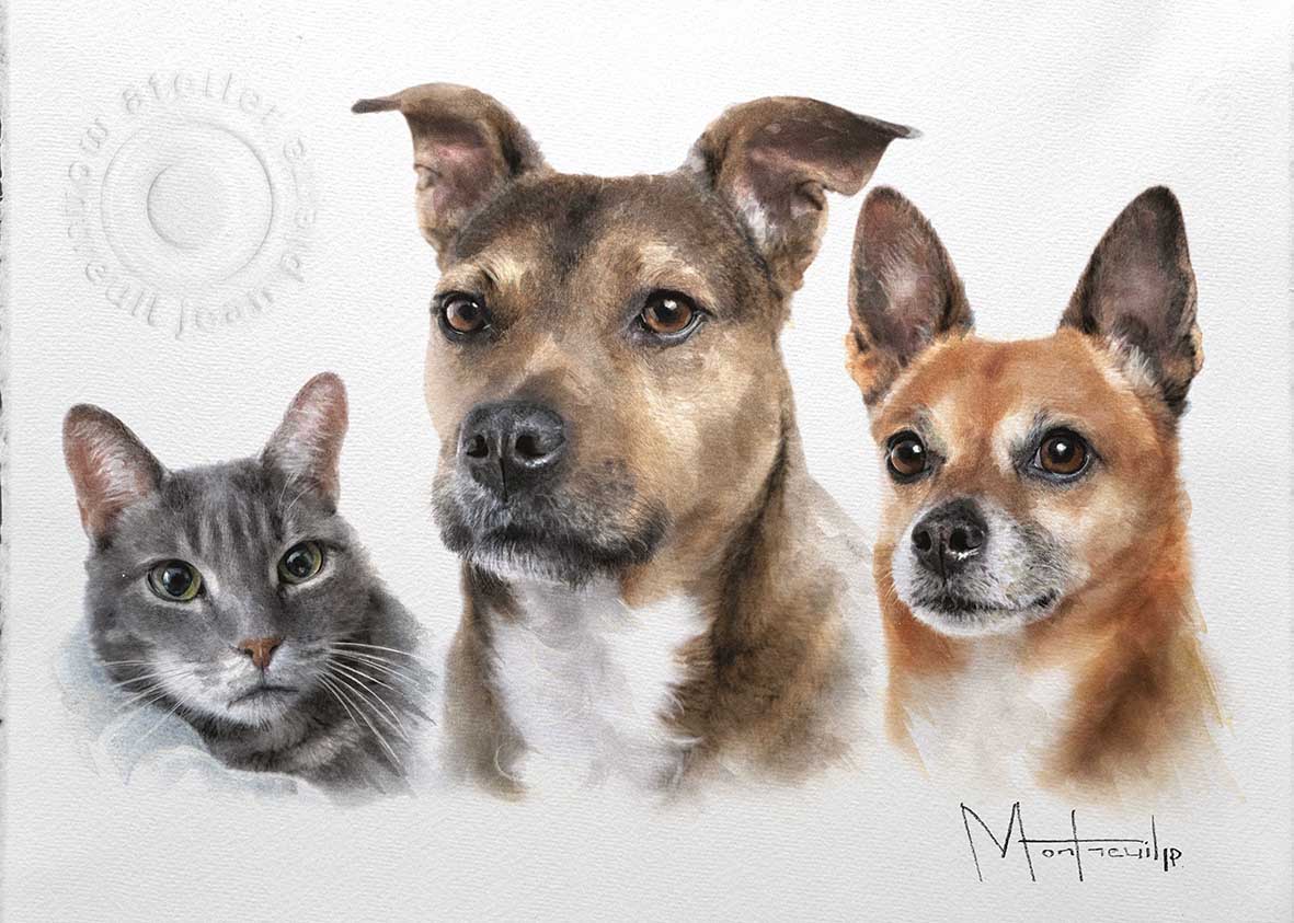Portrait détaillé d'un chat gris, d'un chien marron et blanc, et d'un chihuahua roux, tous trois regardant vers l'avant avec tendresse.