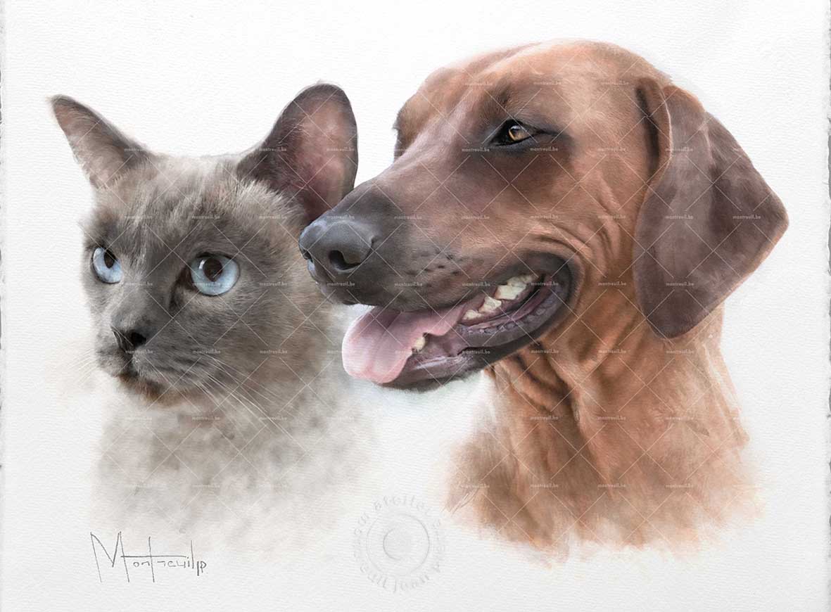 Portrait artistique d'un chat gris aux yeux bleus et d'un chien brun souriant, côte à côte sur fond blanc