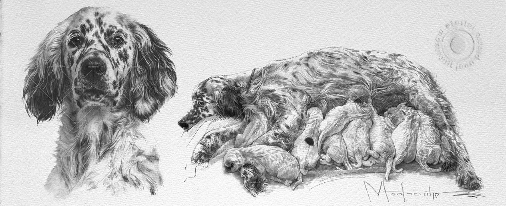 Dessin en noir et blanc d'une chienne allaitant ses chiots, avec portrait de la mère à gauche