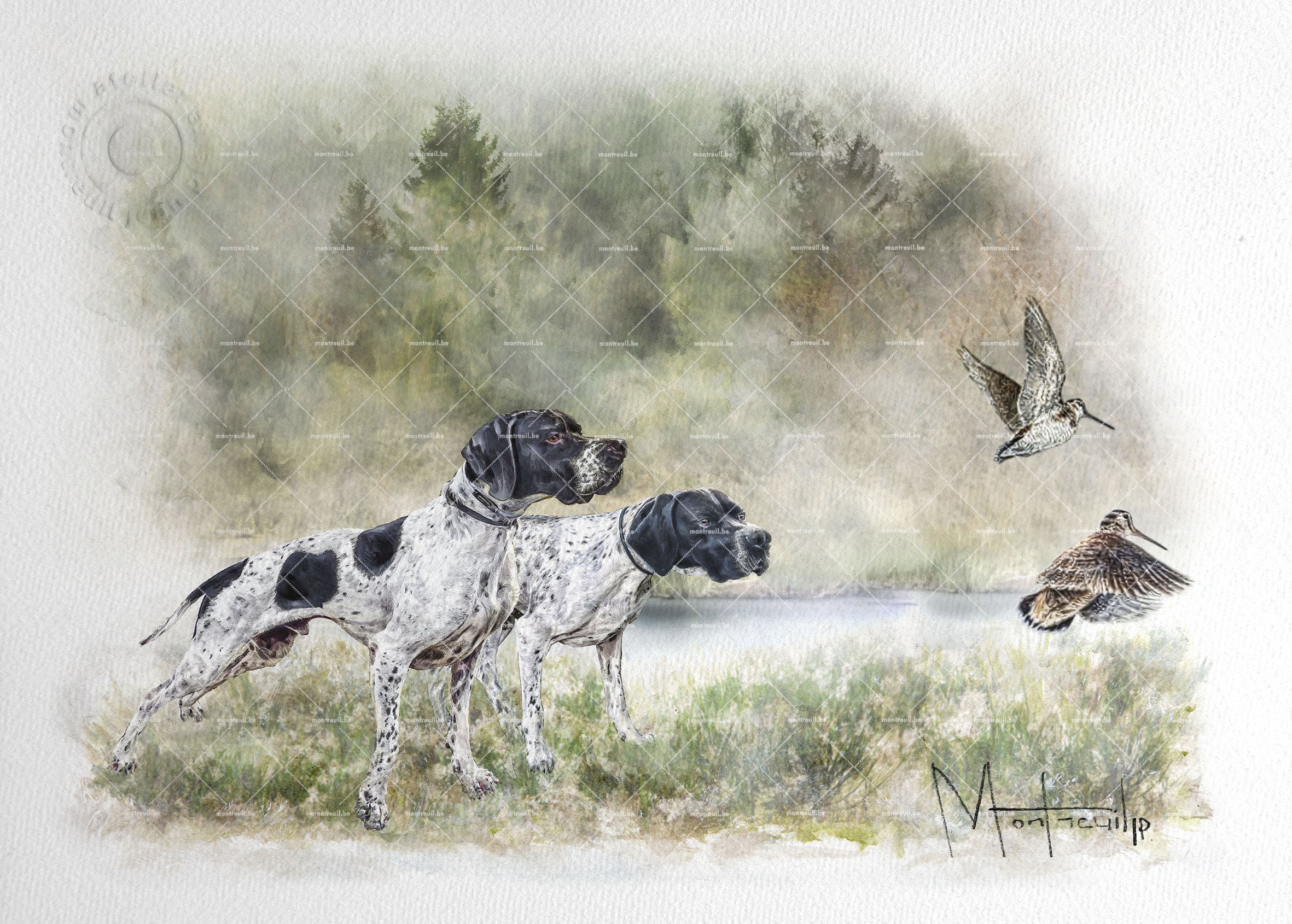 Deux chiens de chasse blanc et noir en action poursuivant des oiseaux au-dessus d'une prairie près d'un lac forestier