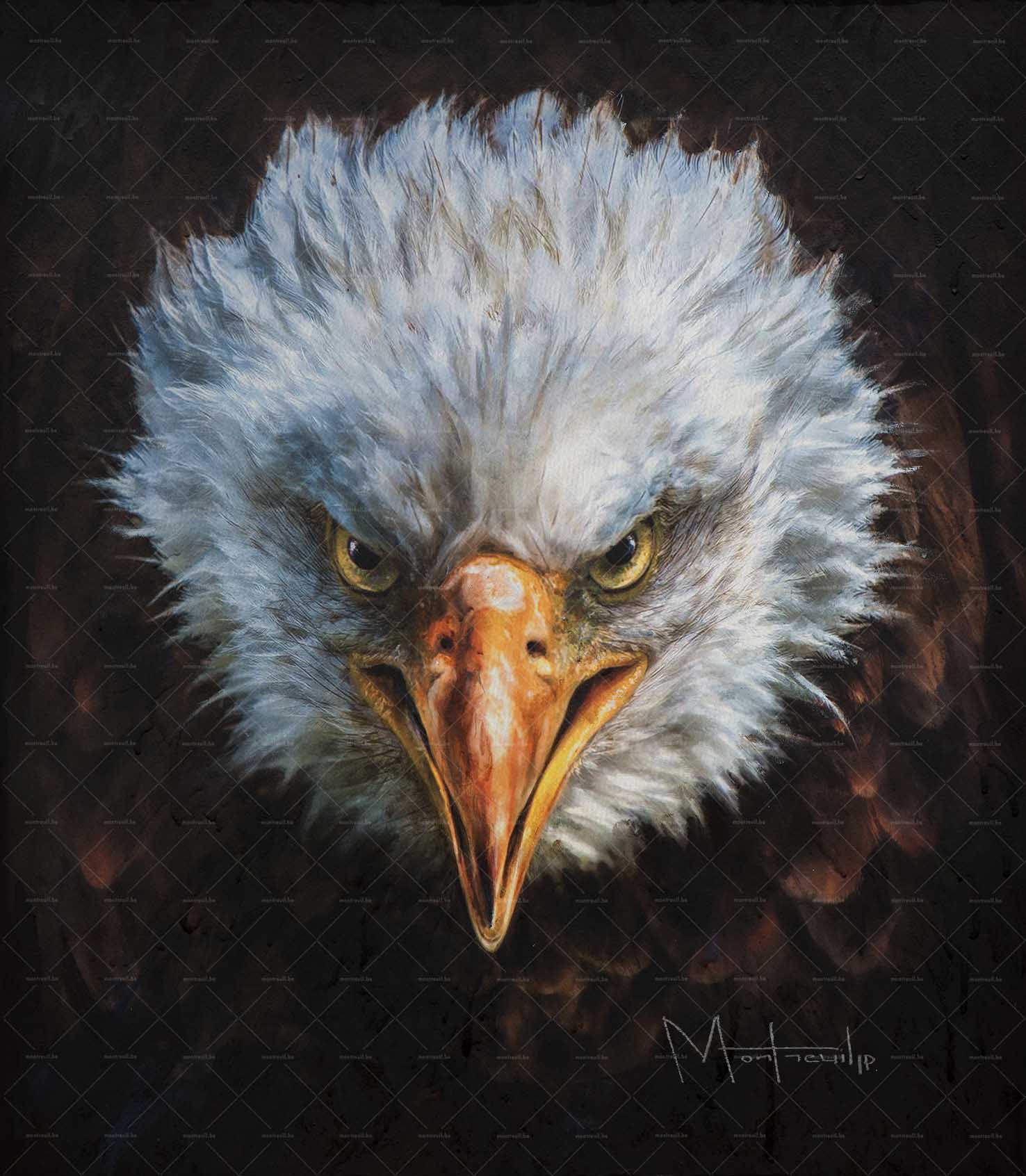 Portrait peint d'un aigle royal de face aux yeux jaunes intenses et au plumage blanc et brun sur fond noir